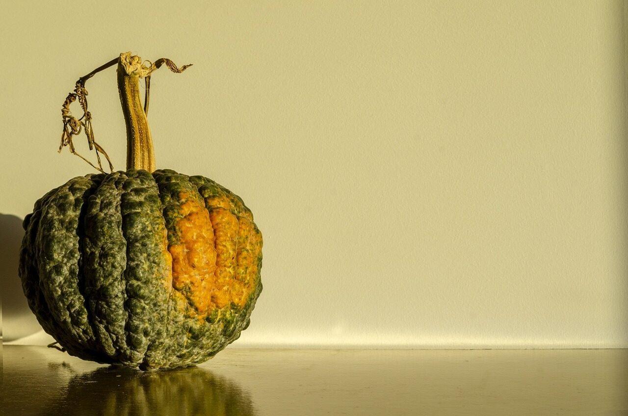 pumpkin, green, fruit, autumn, colorful, zucchini, decoration, horta, holidays, orange, nature, eat