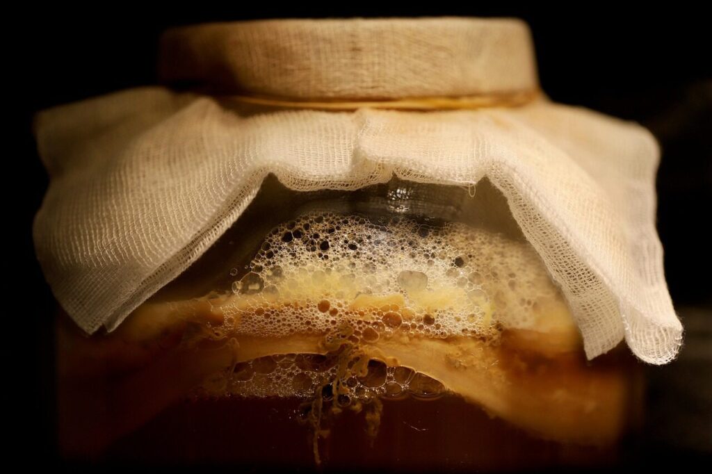 como fazer kombucha em casa