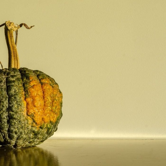 pumpkin, green, fruit, autumn, colorful, zucchini, decoration, horta, holidays, orange, nature, eat