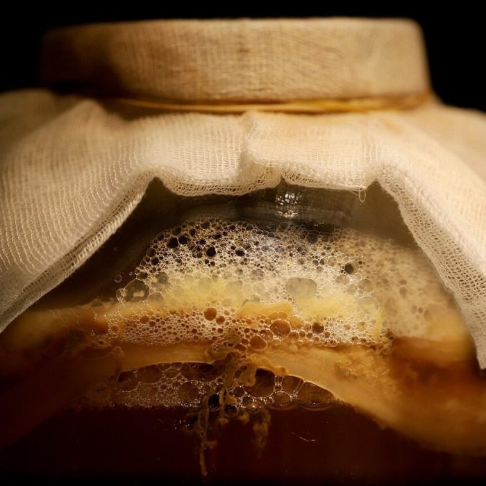 como fazer kombucha em casa